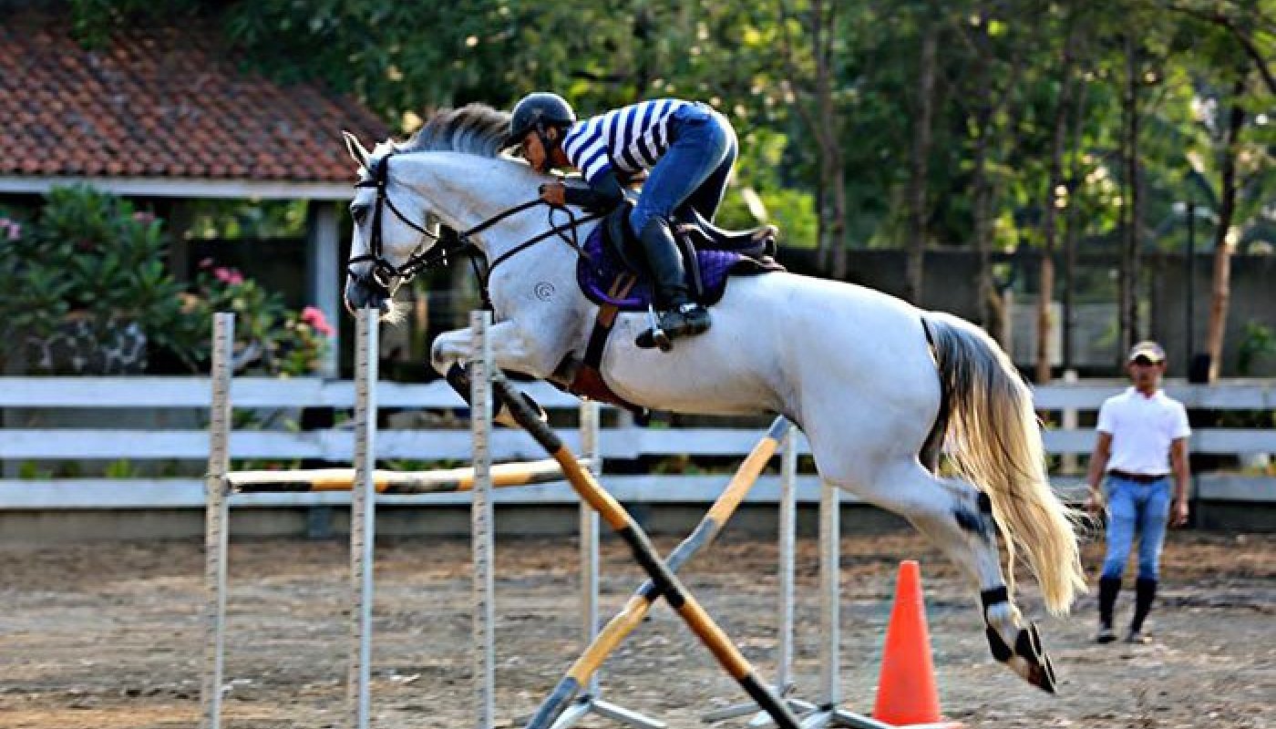 HorseRiding in Jakarta What's New Indonesia